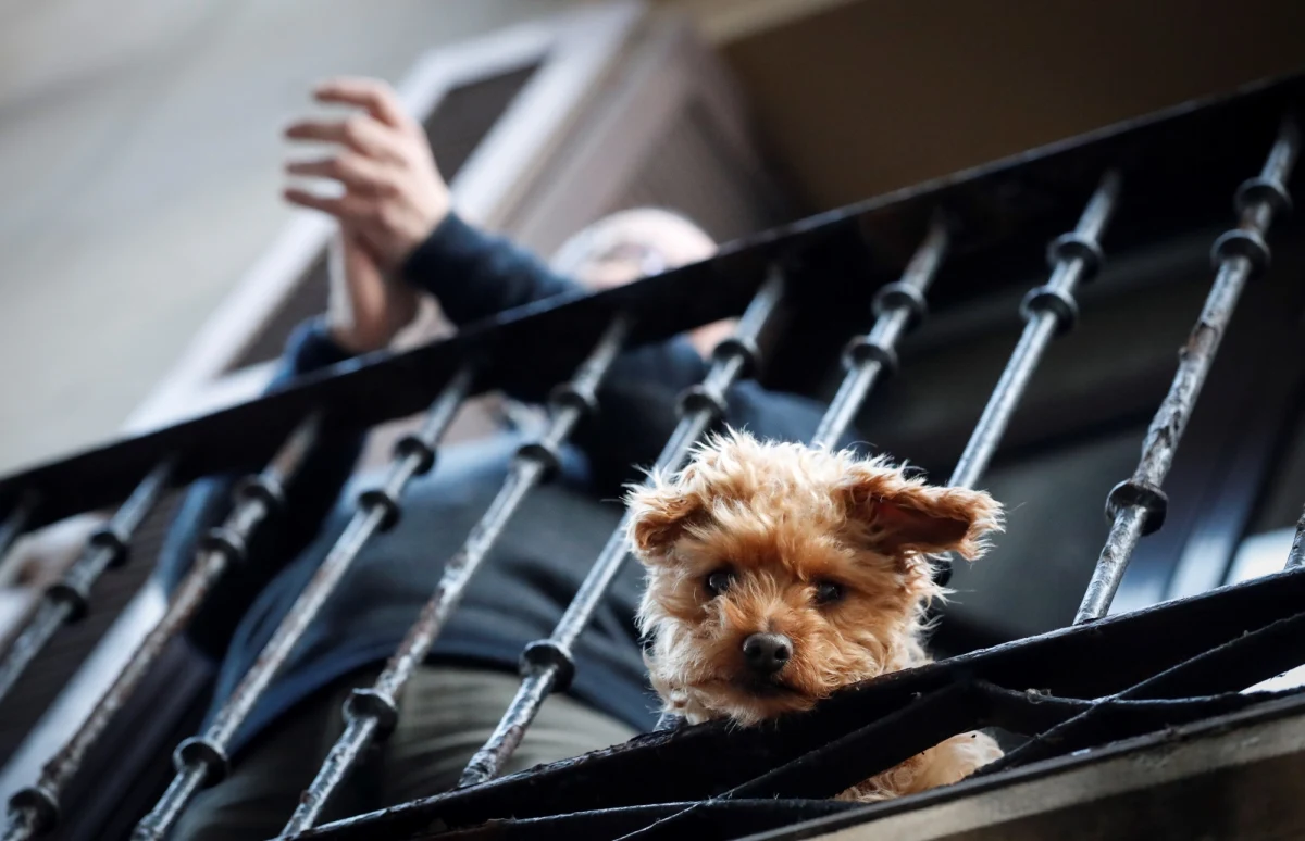 Rząd Pedra Sancheza nabył system elektroniczny do kontrolowania migracji mieszkańców Hiszpanii w czasie epidemii koronawirusa. Władze tego kraju będą mogły monitorować równocześnie położenie 40 mln obywateli - ujawnił w piątek dziennik "Expansion".