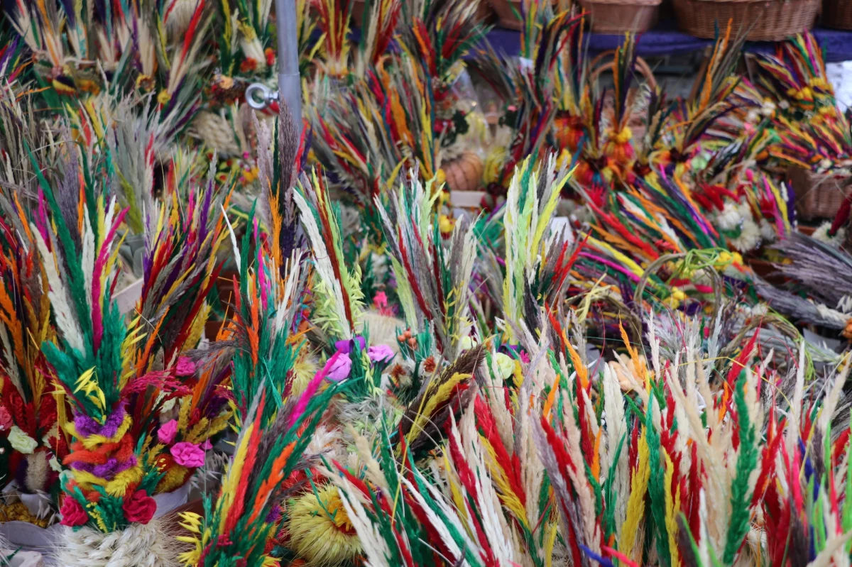 Kościół katolicki obchodzi dziś uroczystość Niedzieli Palmowej. Z względu na rygory sanitarne, msze św. i nabożeństwa będą sprawowane z ograniczeniem udziału wiernych do pięciu osób. Biskupi zachęcają do uczestnictwa w liturgiach poprzez transmisje i modlitwę w domach.