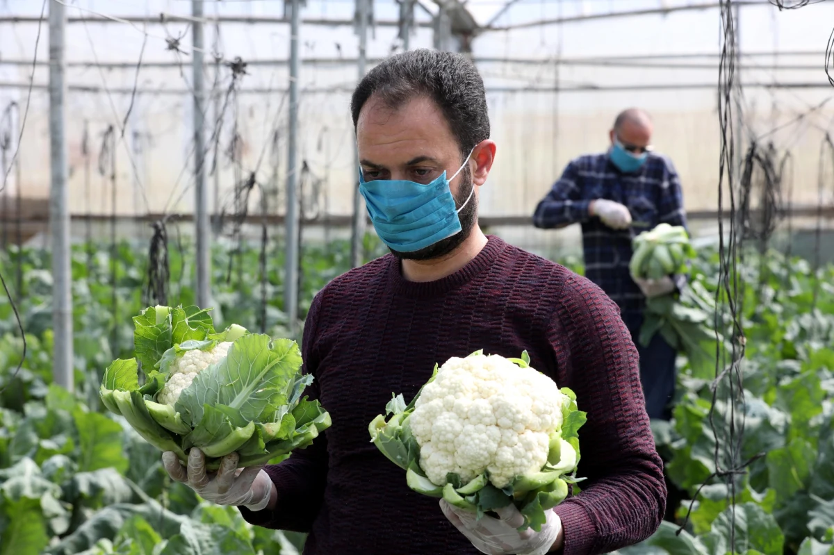 Przepisy dotyczące obowiązkowe zakrywania nosa i ust w przestrzeni publicznej zostaną doprecyzowane - zapowiedział na konferencji prasowej wiceminister zdrowia Janusz Cieszyński. Obowiązek zakrywania dolnej części twarzy w przestrzeni publicznej będzie nas dotyczyć od najbliższego czwartku, 16 kwietnia.