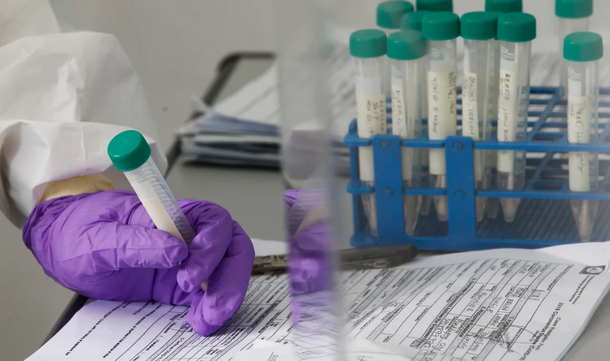 ​Pierwszy polski test na koronawirusa opracowali naukowcy z Instytutu Chemii Bioorganicznej Polskiej Akademii Nauk w Poznaniu. Instytut, wspomagany rządową dotacją, chce wyprodukować 150 tys. takich testów. Będą one znacznie tańsze od tych, które obecnie sprowadzamy z zagranicy.