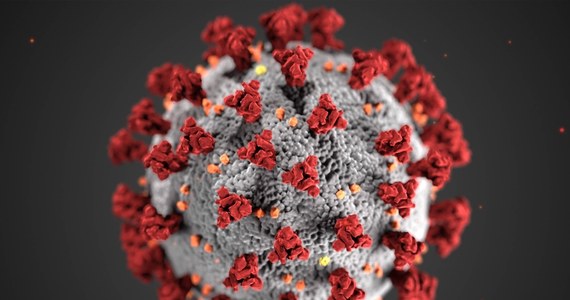 UK Biobank zgromadził ogromną liczbę próbek DNA koronawirusa SARS-CoV-2, pobranych od ponad 500 tys. osób z całego świata. Dzięki temu będzie można lepiej poznać ten patogen i jego zmienność. Dostęp do nich ma już ponad 15 tys. naukowców – informuje "BBC News".