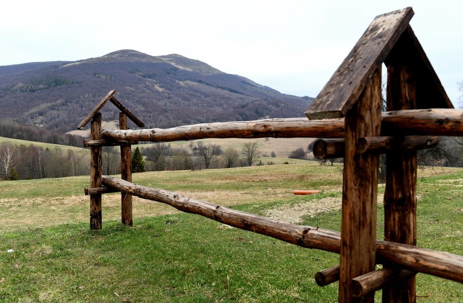 /Darek Delmanowicz /PAP