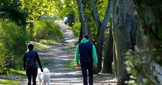 Tylko w niedzielę strażacy i leśnicy gasili 172 pożary lasów w całej Polsce – to dobowy rekord od początku roku. Choć od dziś można już wchodzić do lasów, trzeba bardzo uważać – zagrożenie pożarowe jest wysokie niemal w całym kraju. 