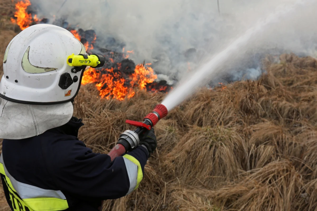 Nad ranem zakończyła się akcja gaszenia pożaru w Biebrzańskim Parku Narodowym. Jak obliczają strażacy, spłonęło ok. 1,3 ha łąk i lasów.
