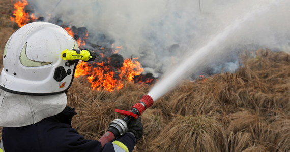 Nad ranem zakończyła się akcja gaszenia pożaru w Biebrzańskim Parku Narodowym. Jak obliczają strażacy, spłonęło ok. 1,3 ha łąk i lasów.
