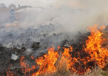 Pożar w Biebrzańskim Parku Narodowym. Jest apel o wsparcie ratowania dzikiej przyrody