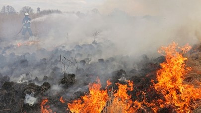 Pożar w Biebrzańskim Parku Narodowym. Jest apel o wsparcie ratowania dzikiej przyrody