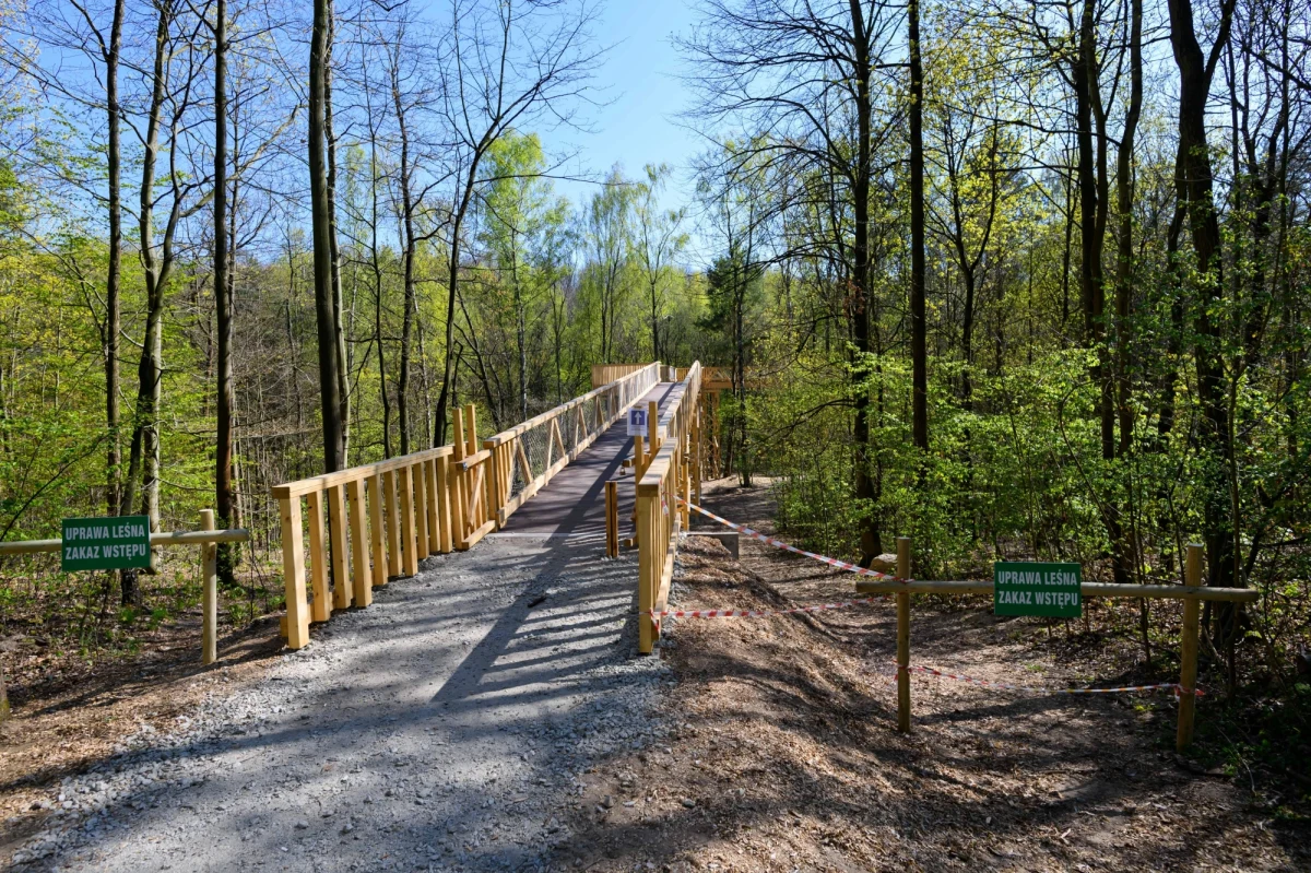 Jeśli sytuacja pogodowa się nie poprawi, w ciągu dwóch tygodni możliwe są zakazy wstępu do poszczególnych lasów ze względu na suszę - usłyszał reporter RMF FM od pracowników Lasów Państwowych. Obecnie w lasach w całym kraju obowiązuje drugi lub trzeci stopień zagrożenia pożarowego.