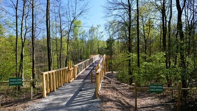 Lasy znów zamknięte? Powodem może być susza