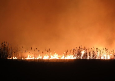 Straż pożarna: Pożar w Biebrzańskim Parku Narodowym nie powiększa się