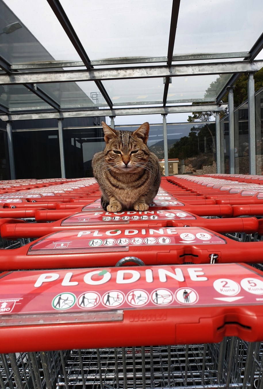 /DOMINIK BAT /PAP/EPA