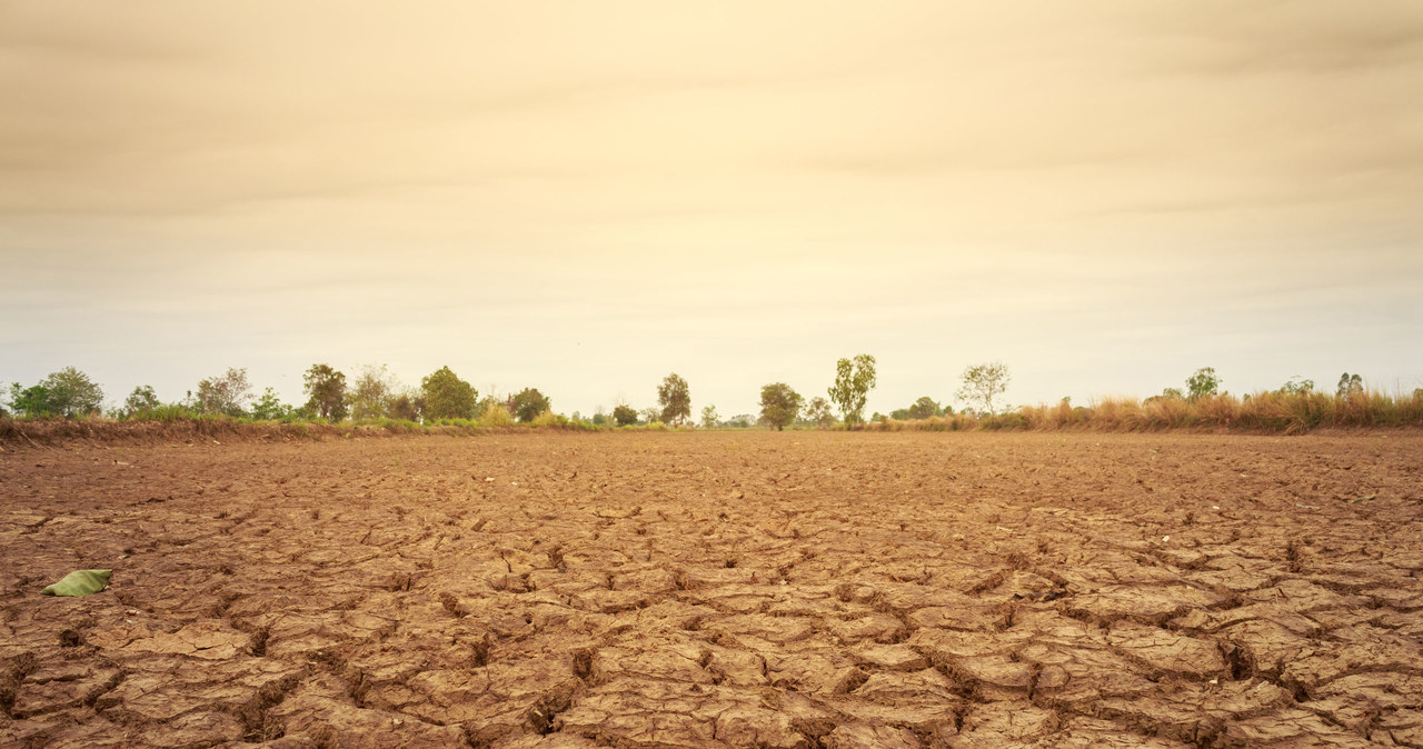 La sequía golpea a los agricultores españoles.  El gobierno prepara cientos de millones de euros para apoyar