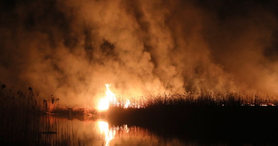 Obszar pożaru w Biebrzańskim Parku Narodowym będzie w nocy dozorowany z możliwością podjęcia akcji gaśniczej w newralgicznych punktach.  Do dozoru będzie też wykorzystywany dron z termowizją - poinformowali wieczorem strażacy.
