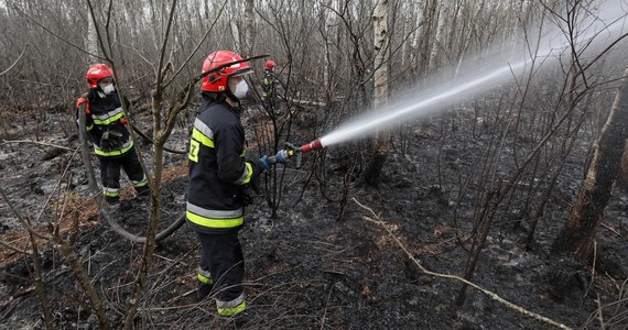 W Biebrzańskim Parku Narodowym strażakom udało się opanować pożar. Ogień się nie rozprzestrzenia, nie ma nowych zarzewi, trwa dogaszanie.