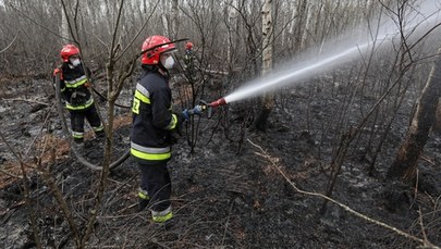 Pożar w Biebrzańskim Parku Narodowym opanowany. Trwa dogaszanie