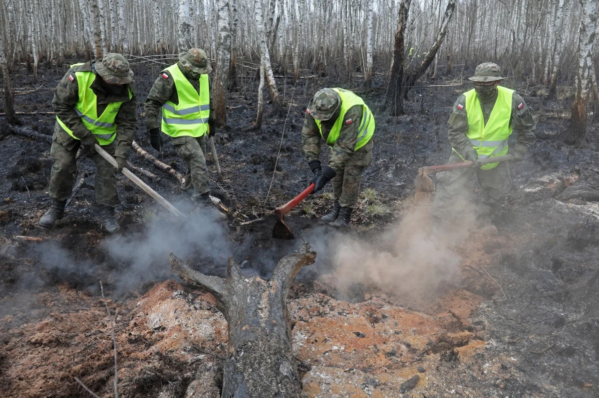 W niedzielę sztab zarządzający dogaszaniem pożaru w Biebrzańskim Parku Narodowym będzie podejmował decyzje, czy wycofywać już część strażaków, którzy biorą udział w tej akcji - poinformował w sobotę wieczorem PAP rzecznik PSP w Białymstoku Tomasz Gierasimiuk.