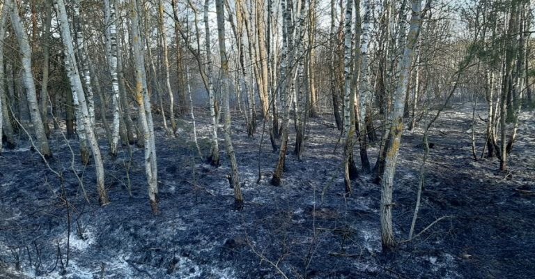 /foto. PSP w Białymstoku /