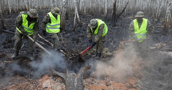 10 tysięcy złotych nagrody za wskazanie podpalacza wyznaczył dyrektor Biebrzańskiego Parku Narodowego. Zdaniem ekspertów, największy od wielu lat pożar parku musiał być zapoczątkowany przez człowieka. Spłonęło tam ponad pięć tysięcy hektarów łąk i lasów.