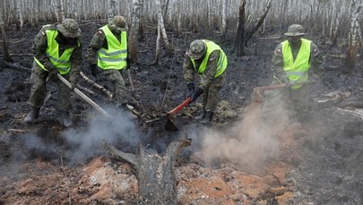 Pożar w Biebrzańskim Parku Narodowym. Dyrektor wyznaczył nagrodę za wskazanie podpalacza