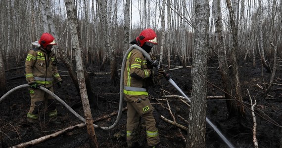 Prawie wszystkie pożary lasów i traw spowodowane są umyślnymi podpaleniami oraz nieostrożnością ludzi przebywających w pobliżu terenów leśnych, łąk i nieużytków - poinformował w poniedziałek rzecznik Komendanta Wojewódzkiego PSP w Warszawie mł. bryg. Karol Kierzkowski.
