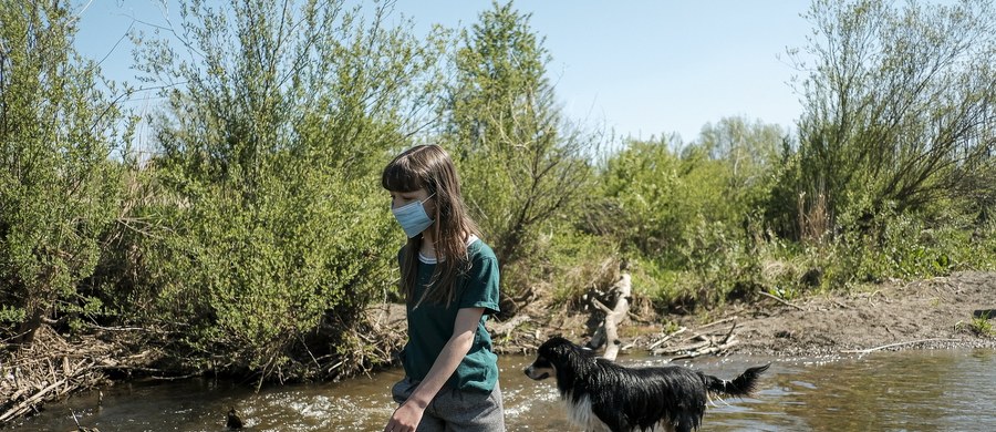 Węgierscy właściciele psów, którzy zostaną objęci kwarantanną lub trafią do szpitala, mogą szukać pomocy na Facebooku – w serwisie społecznościowym powstał profil, za pośrednictwem którego wolontariusze podejmują się tymczasowej opieki nad czworonogami.