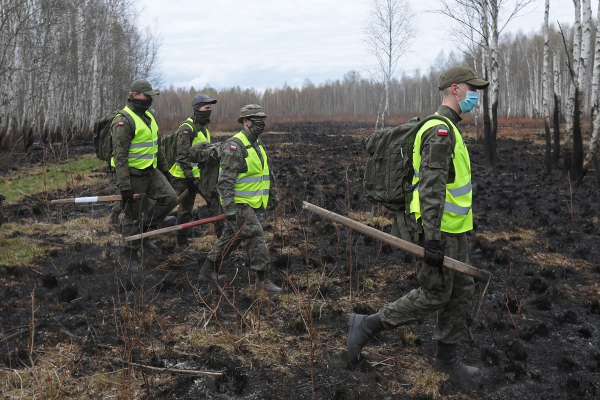 Pożar w Biebrzańskim Parku Narodowym i jego otulinie objął maksymalnie nieco ponad 5,5 tys. ha gruntów Skarbu Państwa i prywatnych - mówi dyrektor parku Andrzej Grygoruk. Straty, jakie ogień wywołał w przyrodzie, będą dokładnie oceniane. Dyrektor parku uważa, że pożar spowodował podpalacz. Wyznaczył nagrodę za jego wskazanie.