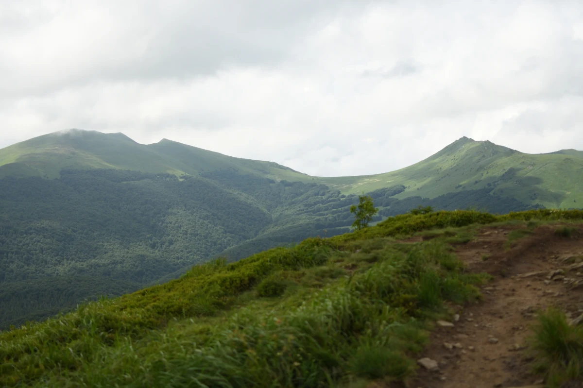 Bardzo dobre warunki do uprawiania turystyki pieszej i rowerowej panują na szlakach w Bieszczadach i w Beskidzie Niskim. Po południu mogą pojawić się jednak burze - ostrzegają ratownicy GOPR-u.