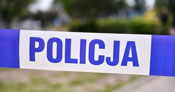 Policja zatrzymała siedem osób w związku z odnalezionymi na Łąkach Oborskich zwłokami młodej kobiety – poinformował Jarosław Sawicki z Komendy Powiatowej Policji w Piasecznie.