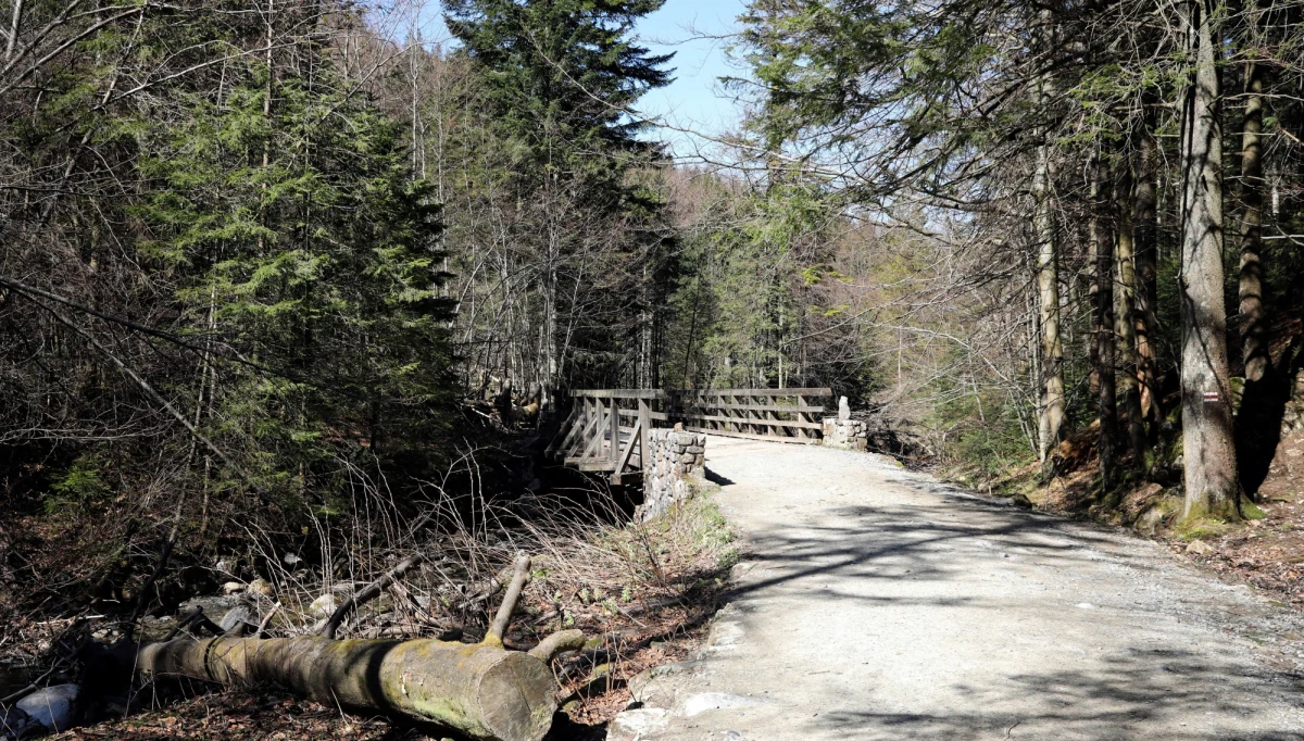 Od poniedziałku będą ponownie otwarte wszystkie szlaki turystyczne w Tatrach. Poruszając się po górach należy jednak pamiętać o stosowaniu się do zaleceń związanych z epidemią - apelują władze Tatrzańskiego Parku Narodowego (TPN).