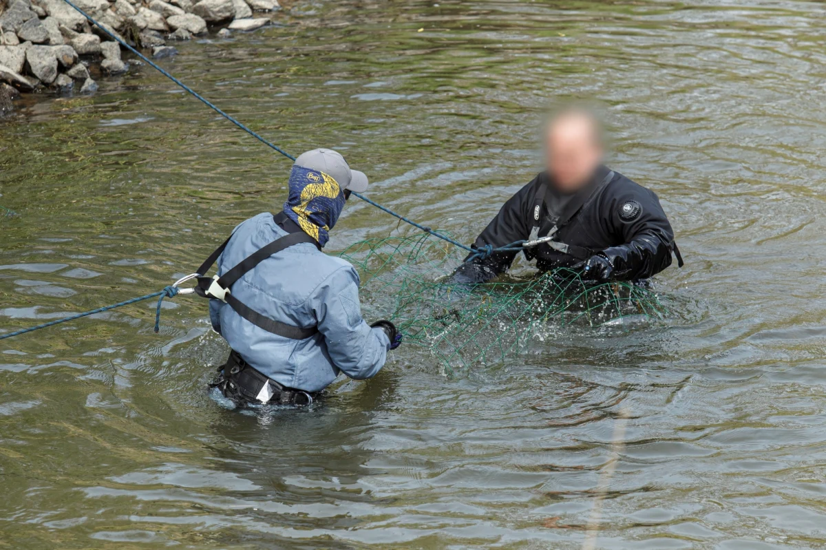 Rozpoczął się dziewiąty dzień poszukiwań 3,5-letniego Kacperka z Nowogrodźca na Dolnym Śląsku. Dziś do poszukiwań zostanie po raz pierwszy wykorzystany georadar. Kontynuowane będą również poszukiwania z psami.