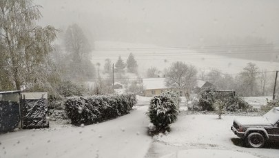 Śnieg w maju. Najbliższe dni chłodne i z opadami [ZDJĘCIA]       