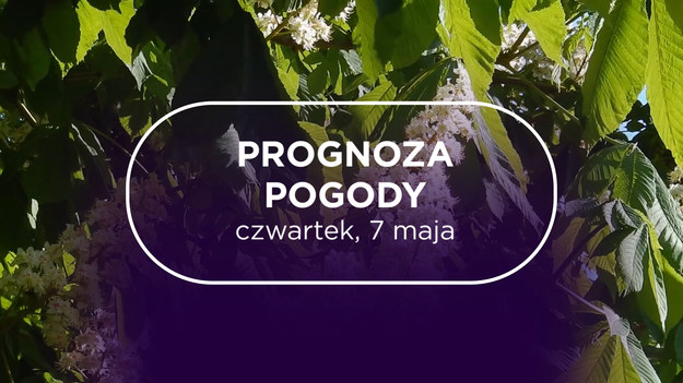W czwartek w całej Polsce pogoda zacznie się poprawiać. Będzie cieplej i nie przewiduje się opadów deszczu.Najzimniej będzie w Katowicach, bo tam tylko 12°C, za to zapowiada się bezchmurne niebo. Prawdziwe wiosenna pogoda w Bydgoszczy – mało chmur i 17°C. 
