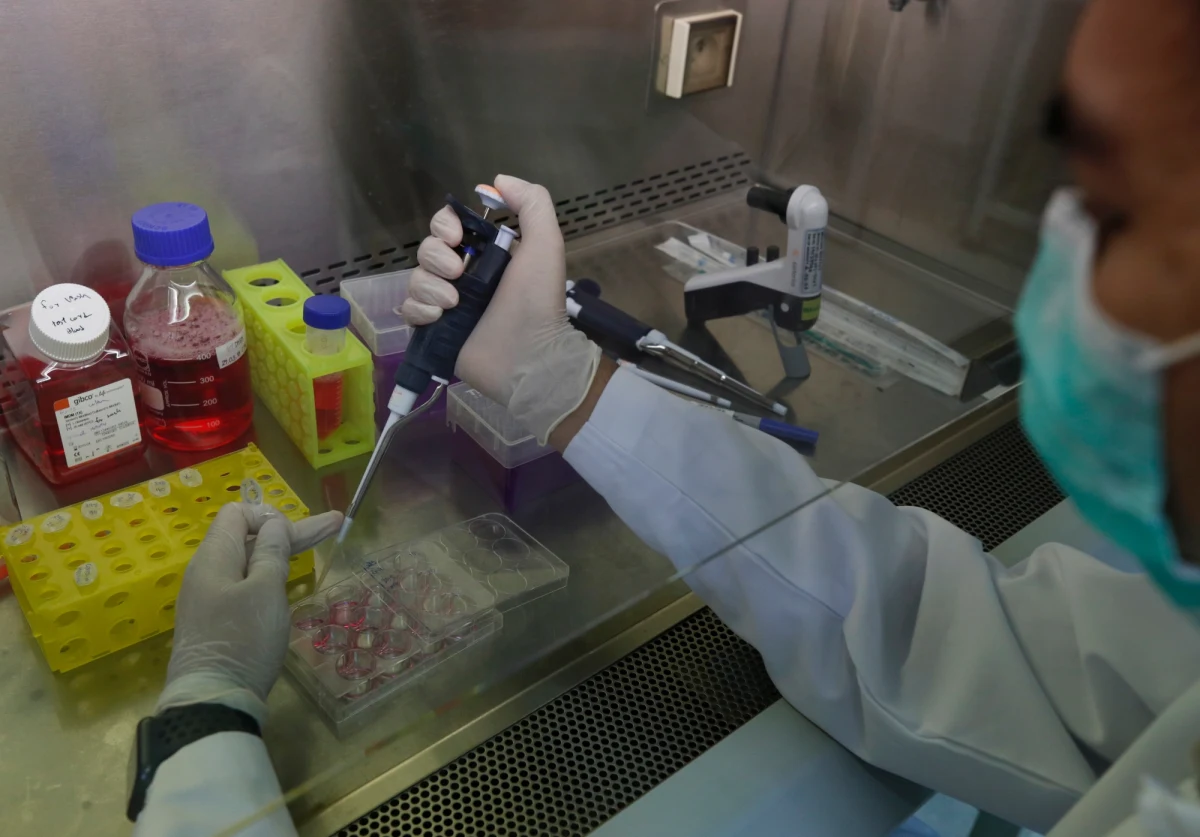  "To kamień milowy na drodze do powszechnej diagnostyki immunologicznej COVID-19" - mówią naukowcy z Poznania, którzy z sukcesem zakończyli badania nad pierwszym polskim testem immunologicznym na obecność koronawirusa.