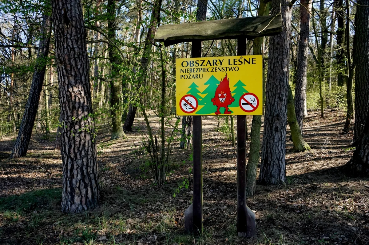 Zwiększyło się zagrożenie pożarowe w lasach w wielu regionach Polski. Jak wynika z danych Instytutu Badawczego Leśnictwa, najtrudniejsza jest sytuacja na północy kraju.