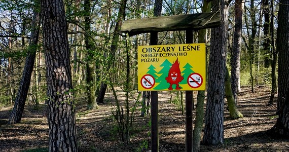 Zwiększyło się zagrożenie pożarowe w lasach w wielu regionach Polski. Jak wynika z danych Instytutu Badawczego Leśnictwa, najtrudniejsza jest sytuacja na północy kraju.