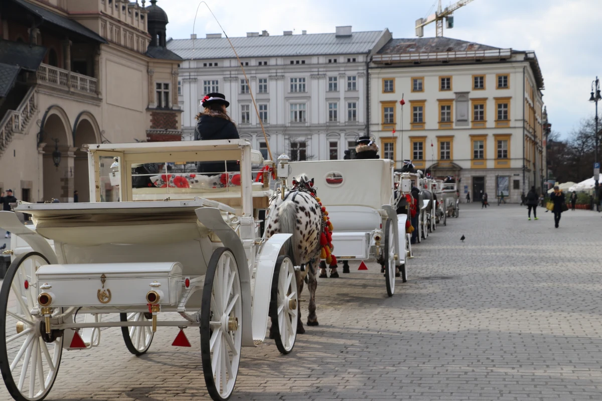 Zarzuty znęcania się nad zwierzęciem usłyszał dorożkarz w związku ze śmiercią konia Pilsnera. Do zdarzenia doszło w styczniu ub.r. na krakowskim Rynku. Zwierzę ciągnące dorożkę przewróciło się, a obrażenia były na tyle poważne, że weterynarz zdecydował o uśpieniu konia.