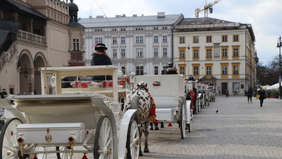 Kraków: Zarzuty dla dorożkarza w związku ze śmiercią konia na Rynku
