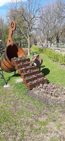 /Edyta Wach Bieniek /