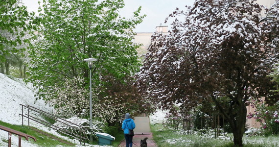 Choć w kalendarzu 12 maja, w wielu miejscach Polski wtorkowy poranek wyglądał zimowo. Tak było m.in. w północno-wschodniej części naszego kraju. Na Gorącą Linię RMF FM dostaliśmy od Was zdjęcia waszych zaśnieżonych ulic i termometrów pokazujących dużo niższą temperaturę, niż jeszcze wczoraj. 
