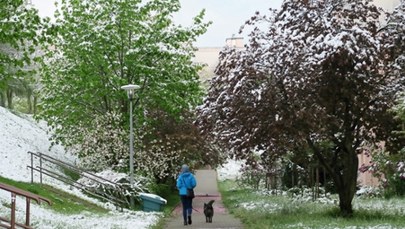 Śnieg, deszcz i znaczne ochłodzenie. Zimowy poranek w wielu miejscach Polski [WASZE ZDJĘCIA]