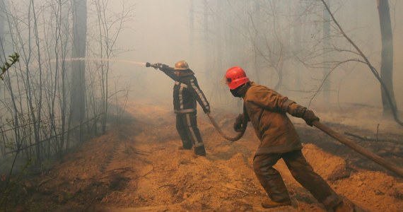 Wszystkie pożary leśne w strefie wokół nieczynnej elektrowni jądrowej w Czarnobylu na północy Ukrainy zostały zlikwidowane - oświadczył prezydent Ukrainy Wołodymyr Zełenski. Pożary wybuchły tam 4 kwietnia.