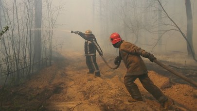 Zełenski: Zlikwidowano wszystkie pożary leśne w rejonie Czarnobyla