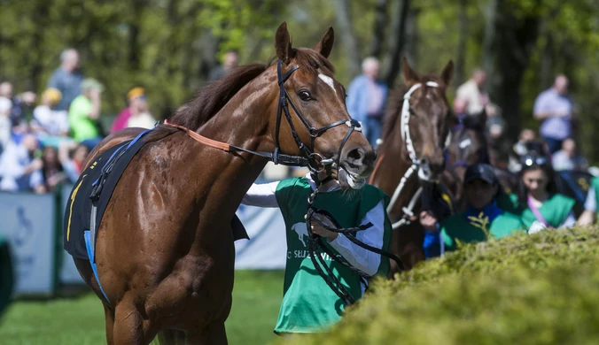 13 koni pobiegnie po zwycięstwo w 76. Wyścigu Derby na Służewcu