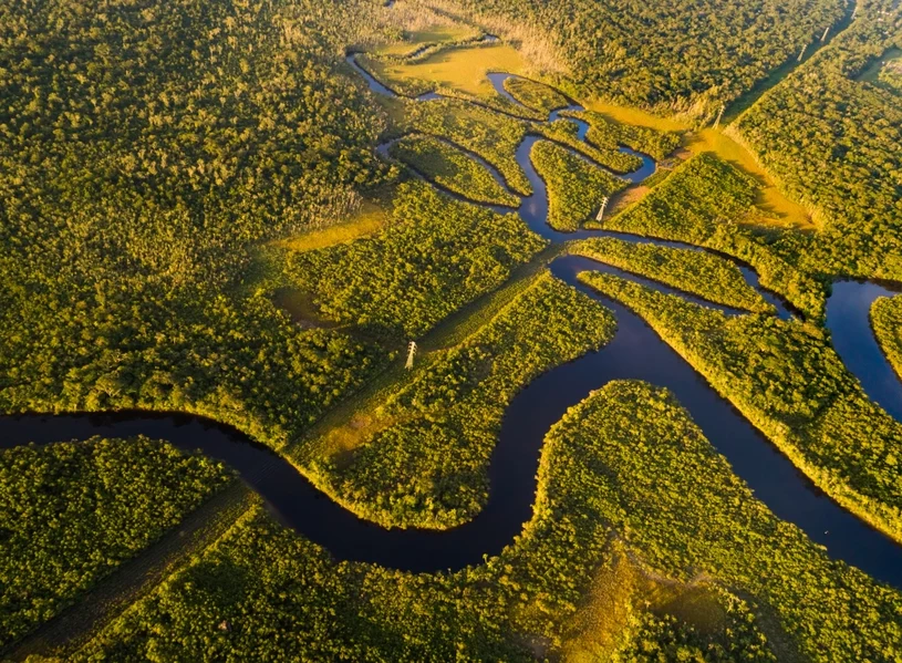 Zagrożenie klimatyczne przez brazylijską wołowinę. Potrzebne zmiany 