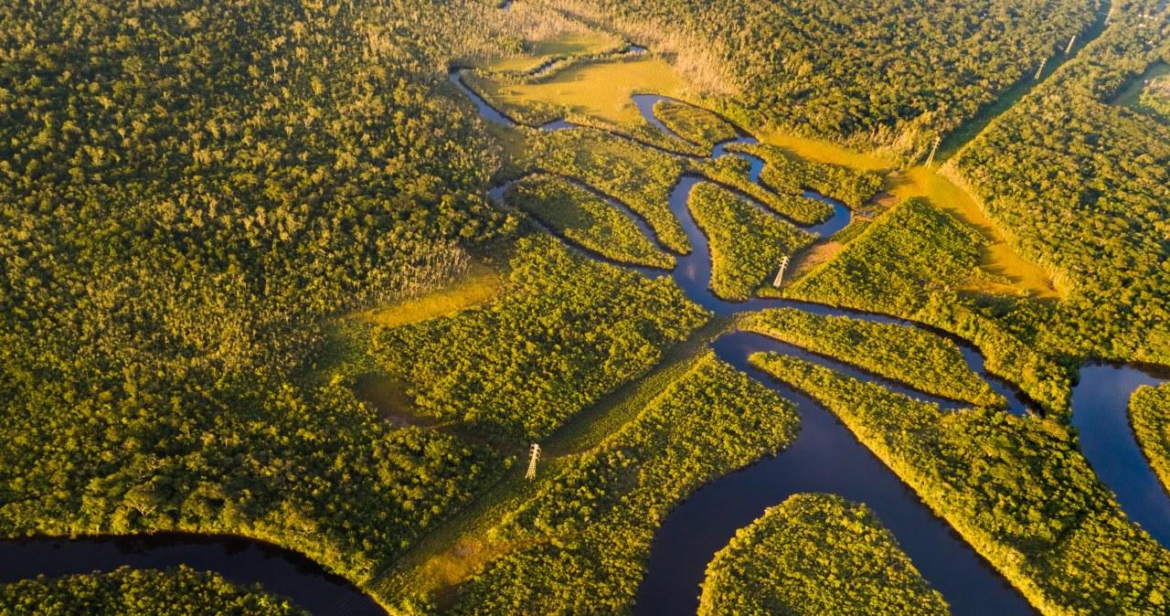 Zagrożenie klimatyczne przez brazylijską wołowinę. Potrzebne zmiany