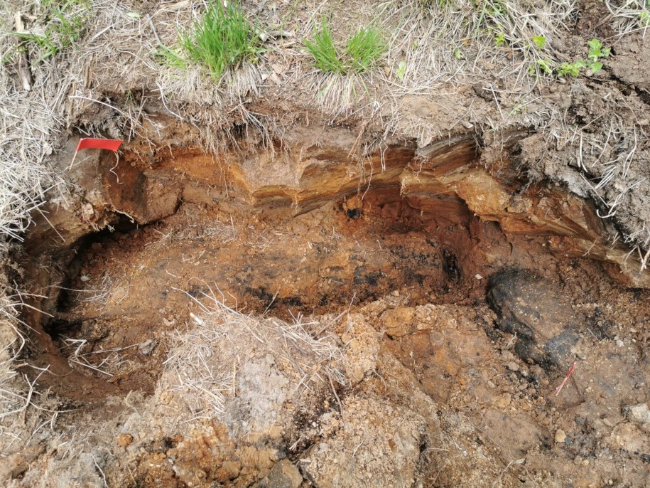 /KPP w Mińsku Mazowieckim /