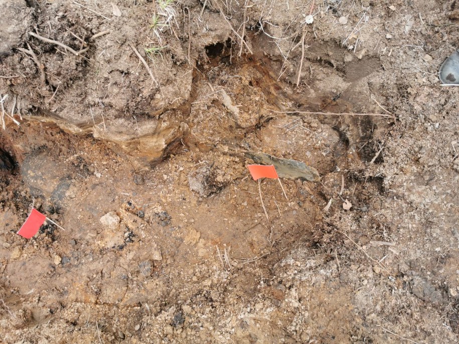 /KPP w Mińsku Mazowieckim /