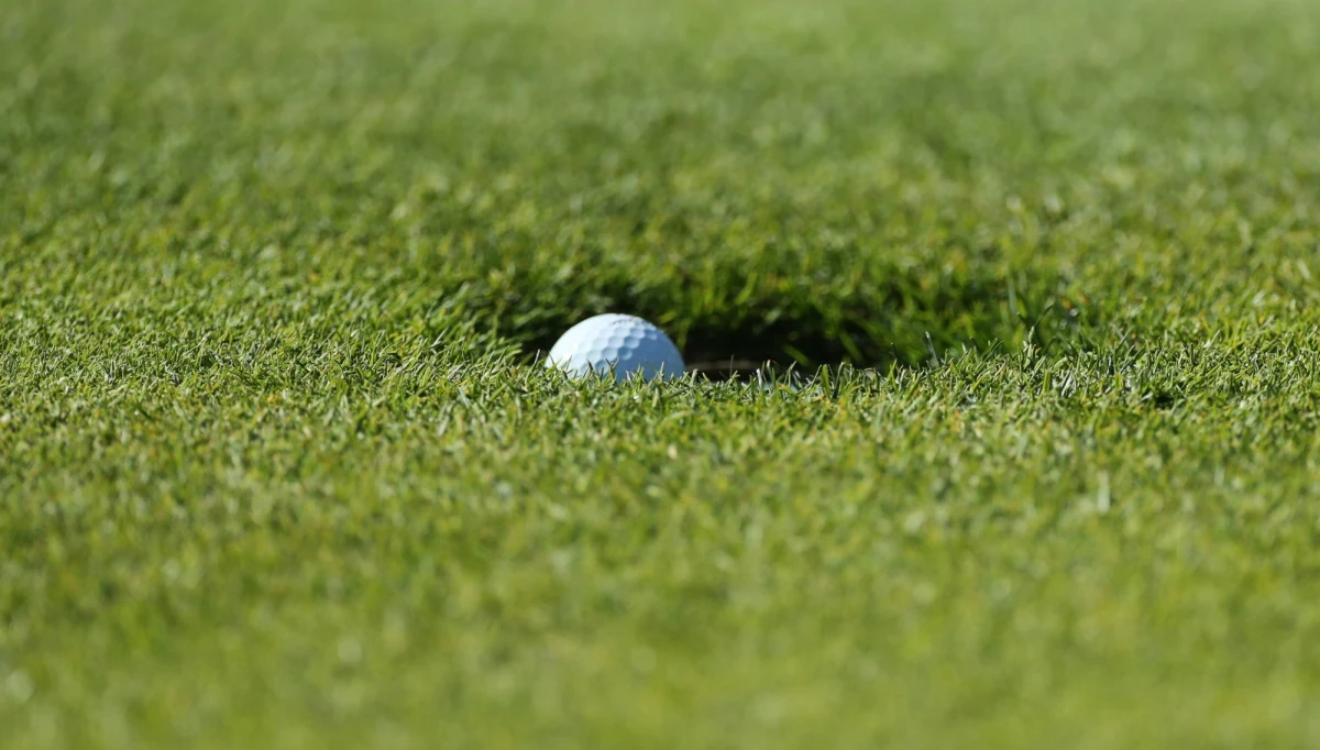 Po raz pierwszy od 1924 roku nie odbędą się kwalifikacje do prestiżowego turnieju golfowego US Open. Powodem są trudności związane z pandemią koronawirusa - poinformowali organizatorzy. 