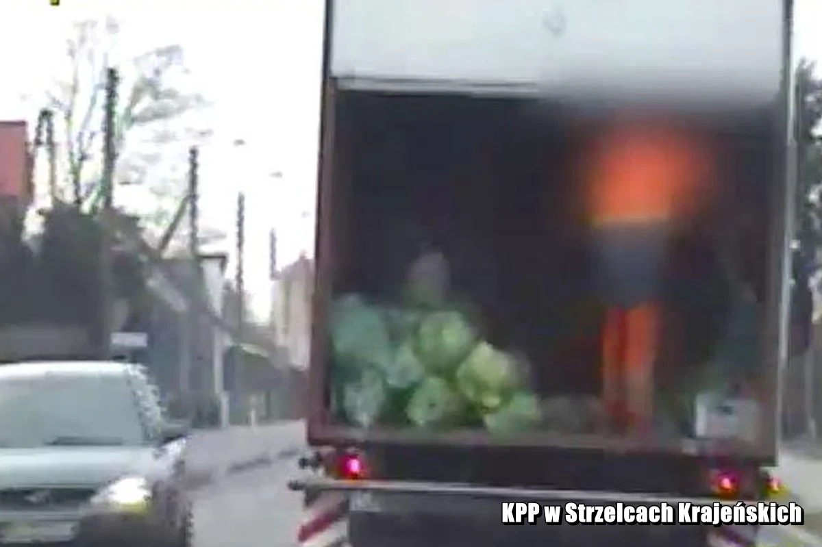 Policjanci ze Strzelec Krajeńskich (Lubuskie) przerwali "pracę" nietrzeźwej załogi śmieciarki. Kierowca pojazdu miał prawie 2,5 promila alkoholu w organizmie.