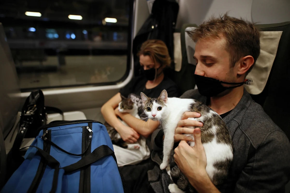 Drugiego lockdownu już nie da się zrobić - powiedział w wywiadzie z tygodnikiem "Sieci" minister zdrowia Łukasz Szumowski. Wyraził przy tym nadzieję, że "nawet jeśli będzie drugie uderzenie epidemii, to jednak nie będzie dramatycznie".